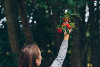 Rear view of woman touching berries growing on tree