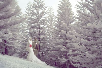 Scenic view of snow covered landscape