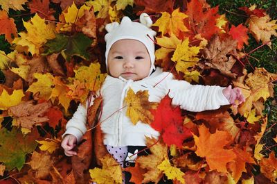 Close-up of cute boy standing on maple leaves