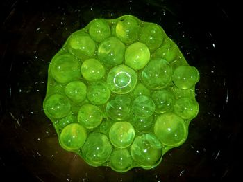 Close-up of water lily over black background