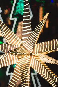 Close-up of christmas tree