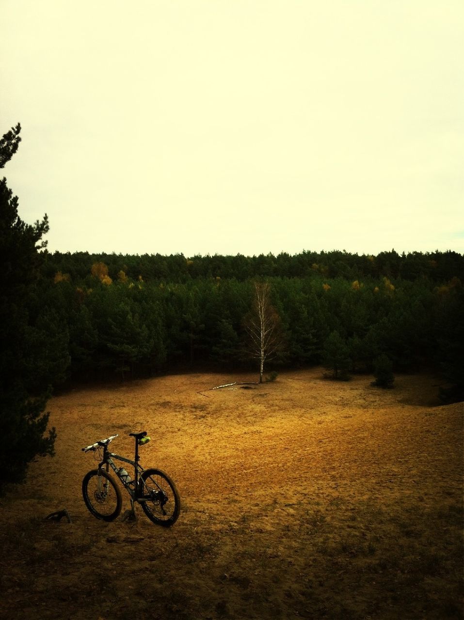 bicycle, land vehicle, transportation, mode of transport, tree, parked, clear sky, stationary, copy space, tranquility, parking, riding, tranquil scene, landscape, scenics, nature, beauty in nature, cycling, field