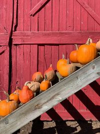Orange pumpkins on wood during autumn