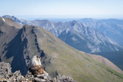 Scenic view of mountain range against sky