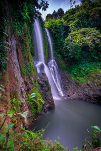 Scenic view of waterfall in forest