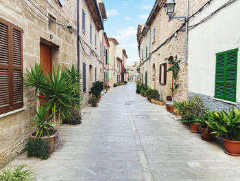 Idyllic narrow alley amidst buildings in alcudia old town