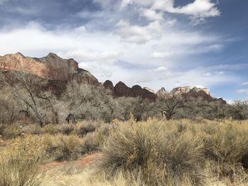 Scenic view of landscape against sky