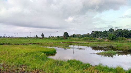 Scenic view of field against sky