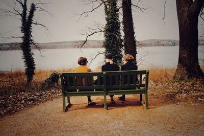View of trees on landscape