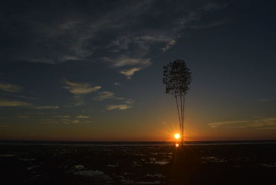 Silhouette trees on field against sky during sunset