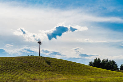 Beautiful countryside landscape. sunny afternoon. wonderful landscape, grassy 