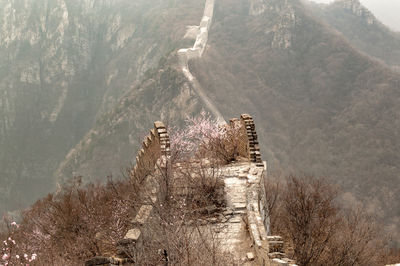 High angle view of trees on mountain