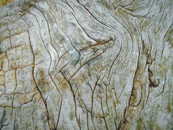 Full frame shot of wood