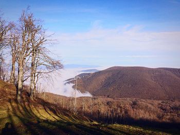 Scenic view of landscape against cloudy sky