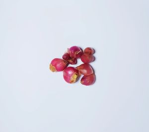 High angle view of red berries against white background