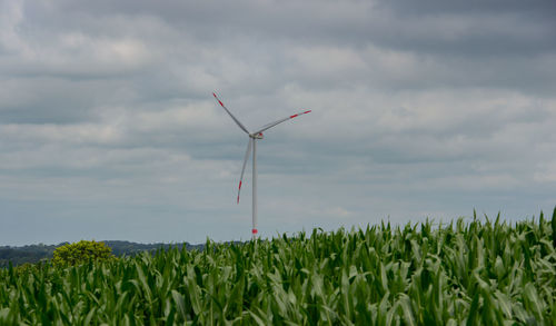 Wind turbines on field against sky