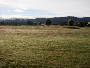 Scenic view of grassy field against sky