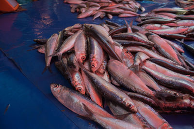 High angle view of fish for sale in market