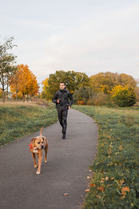 Full length of dog walking on road during autumn