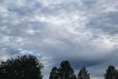 Low angle view of trees against cloudy sky