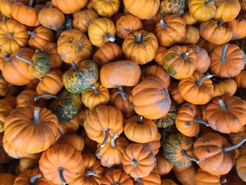 Full frame shot of pumpkins