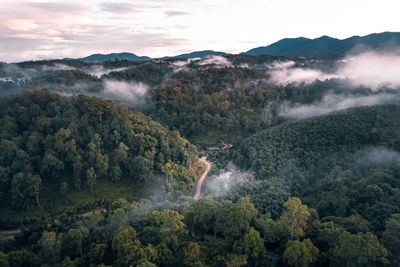 Scenic view of waterfall in forest against sky