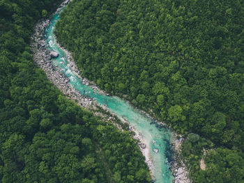 High angle view of waterfall in forest