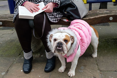 Low section of woman sitting with dog