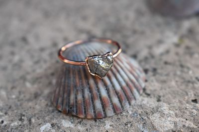 Close-up of seashell on beach