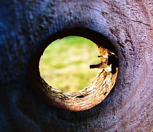 Close-up of rusty metal