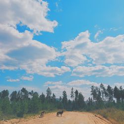 Scenic view of landscape against cloudy sky