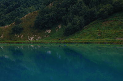 Scenic view of lake by trees in forest