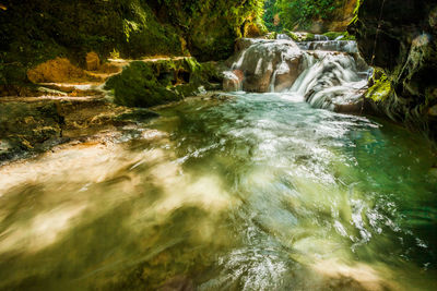 Scenic view of waterfall in forest