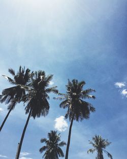 Low angle view of palm trees against cloudy sky