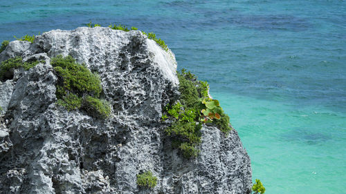 Rocks in sea