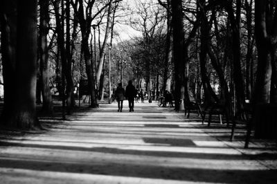 People walking on footpath amidst trees in park