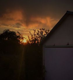 Silhouette trees against sky during sunset