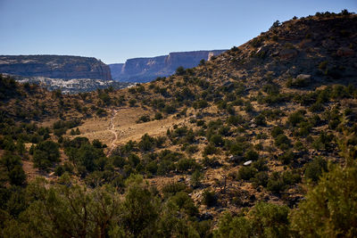 A view of a singletrack trail in grand junction, co.
