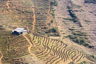 Hut and paddy fields, terraced culture, sapa, vietnam