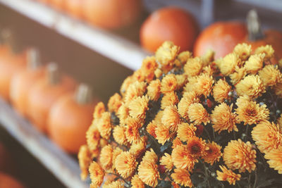 Close-up of orange flower for sale in market