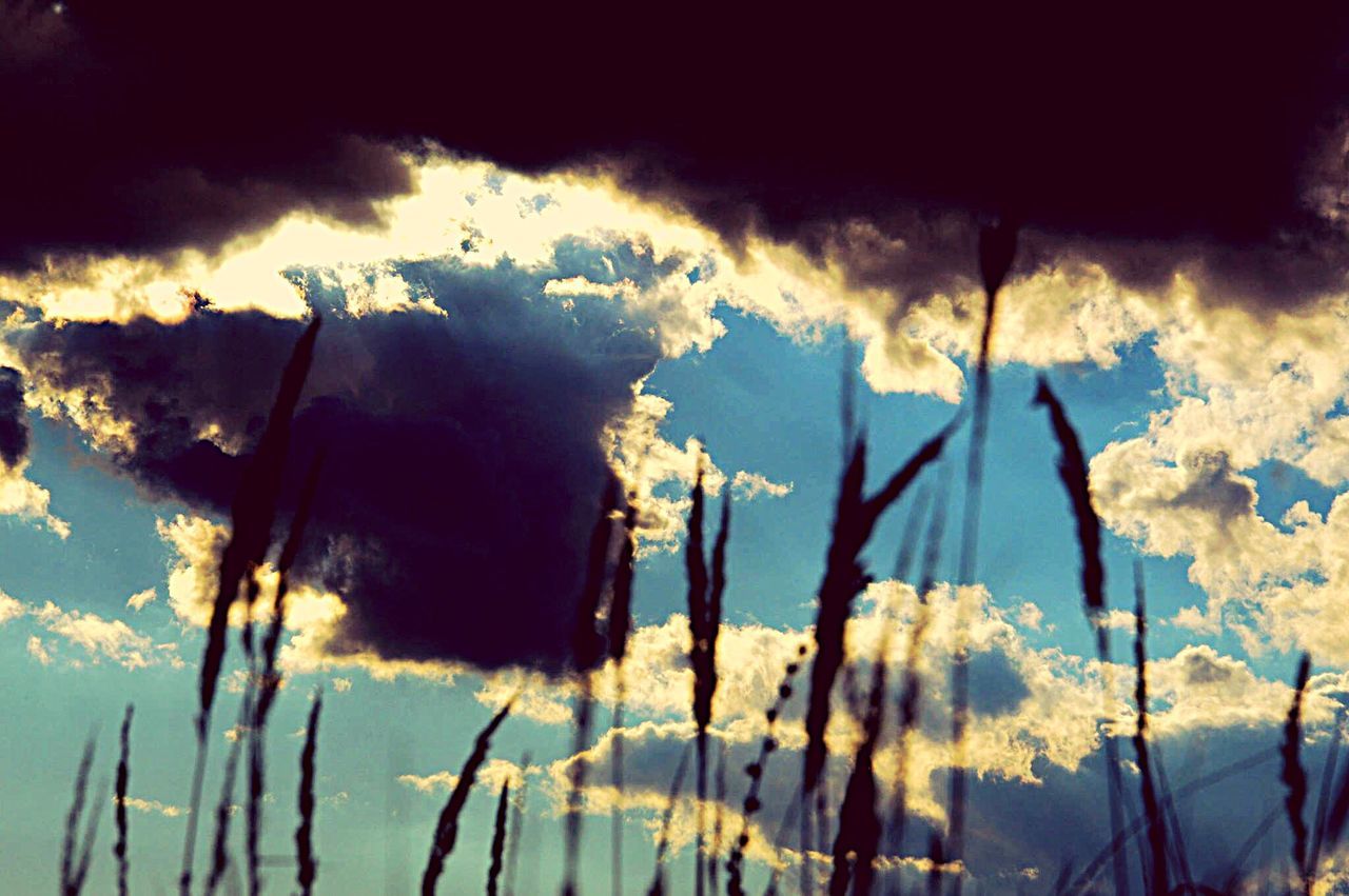 close-up, reflection, cloud, outdoors, sky, nature, tranquility, scenics, majestic, no people