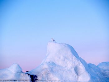 Low angle view of snow covered mountain against blue sky