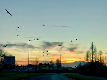 Silhouette birds flying against sky during sunset