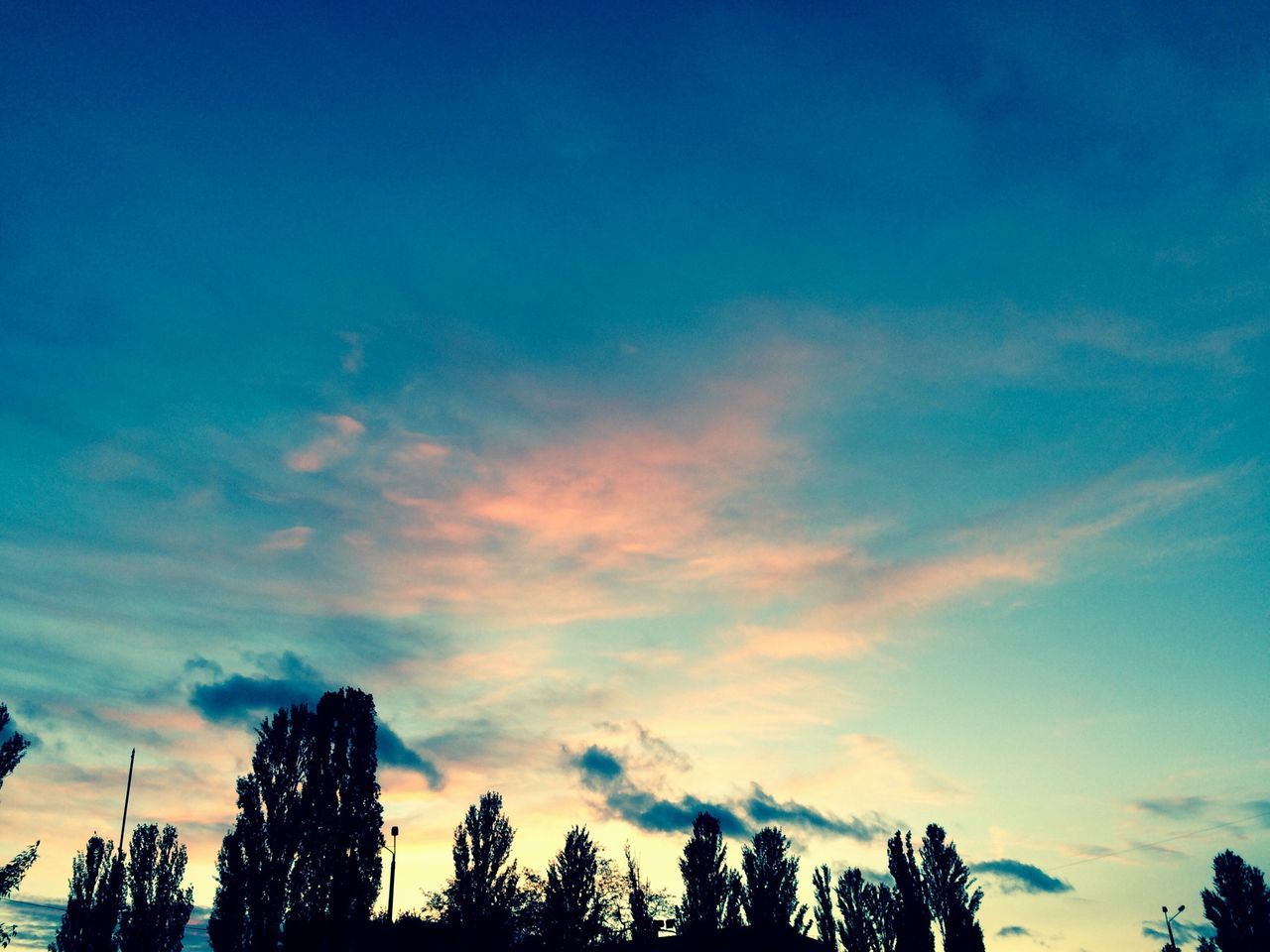 low angle view, sky, silhouette, tree, blue, beauty in nature, cloud - sky, tranquility, nature, scenics, tranquil scene, growth, sunset, high section, cloud, dusk, outdoors, treetop, no people, idyllic