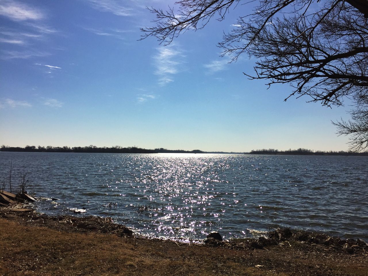 water, tranquil scene, tranquility, scenics, tree, beauty in nature, lake, sky, nature, lakeshore, idyllic, bare tree, rippled, branch, non-urban scene, river, blue, reflection, outdoors, remote