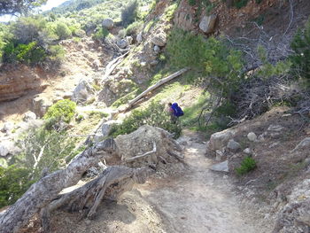 High angle view of man climbing on rock in forest