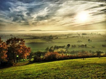 Scenic view of field against sky