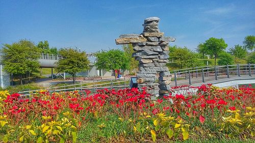 Close-up of plants against clear sky