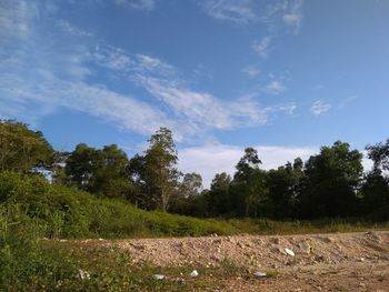 Trees on field against sky