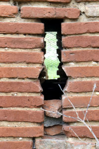 Close-up of brick wall